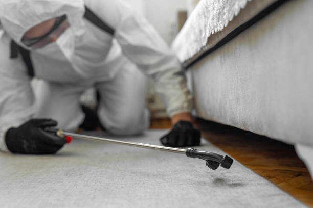 Professional Termite Control technician working in Leetonia, OH
