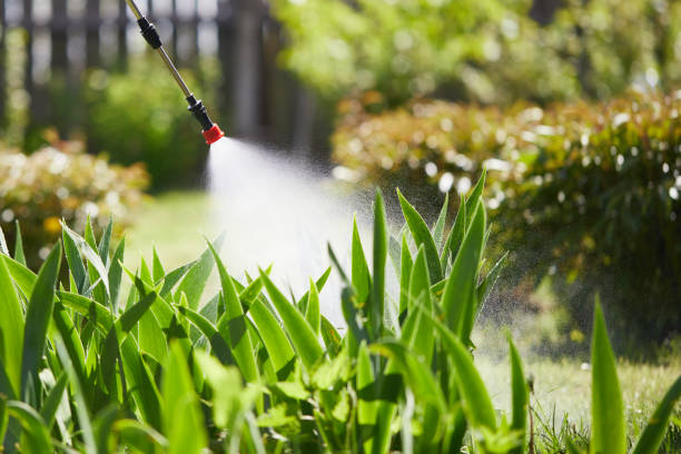 24/7 Emergency Termite Control experts in Leetonia, OH