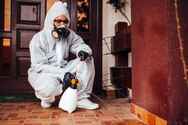 Reliable Termite Control contractor in Leetonia, OH by Nex Pest Control