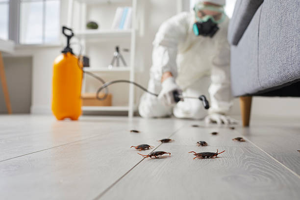 Trusted Cockroach Control service in Leetonia, OH - Nex Pest Control
